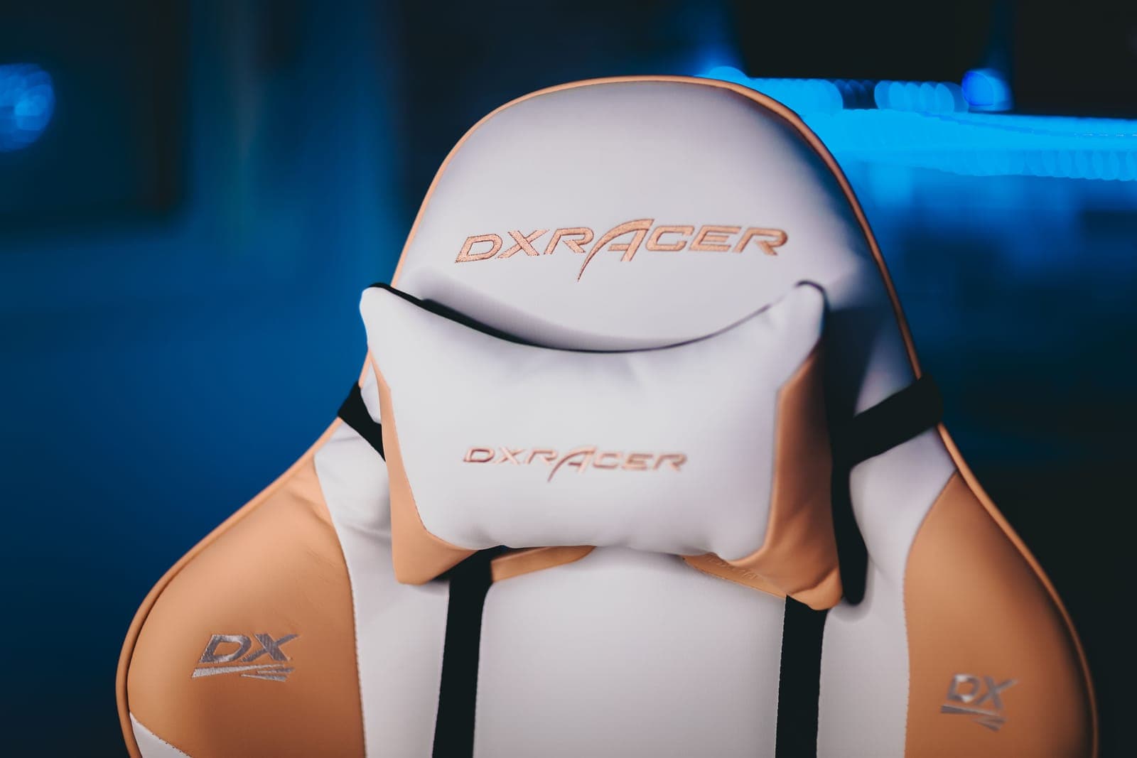 The lumbar section of an office chair backrest in close view