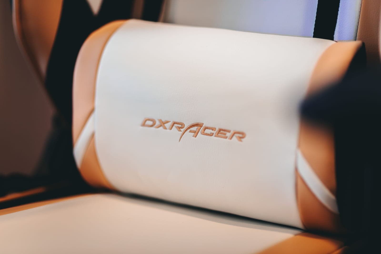 A contoured memory foam cushion strapped to an office chair backrest